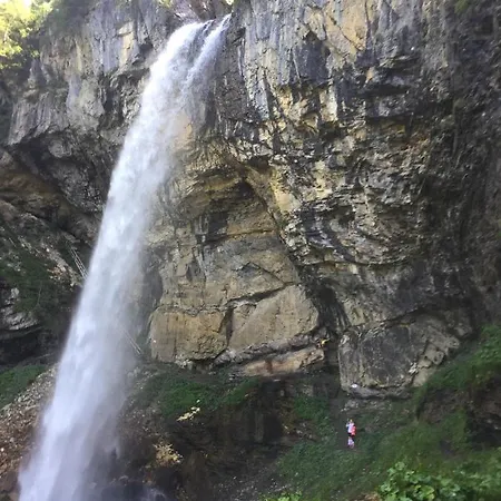 Alpsrental Freja * オーバータウエルン