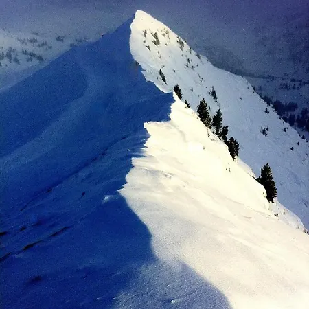 Apartmán Alpsrental Freja *